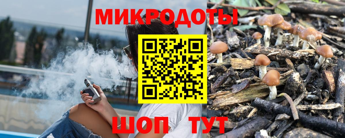 Псилоцибиновые грибы Psilocybe Зерноград